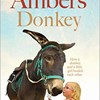 Amber's Donkey